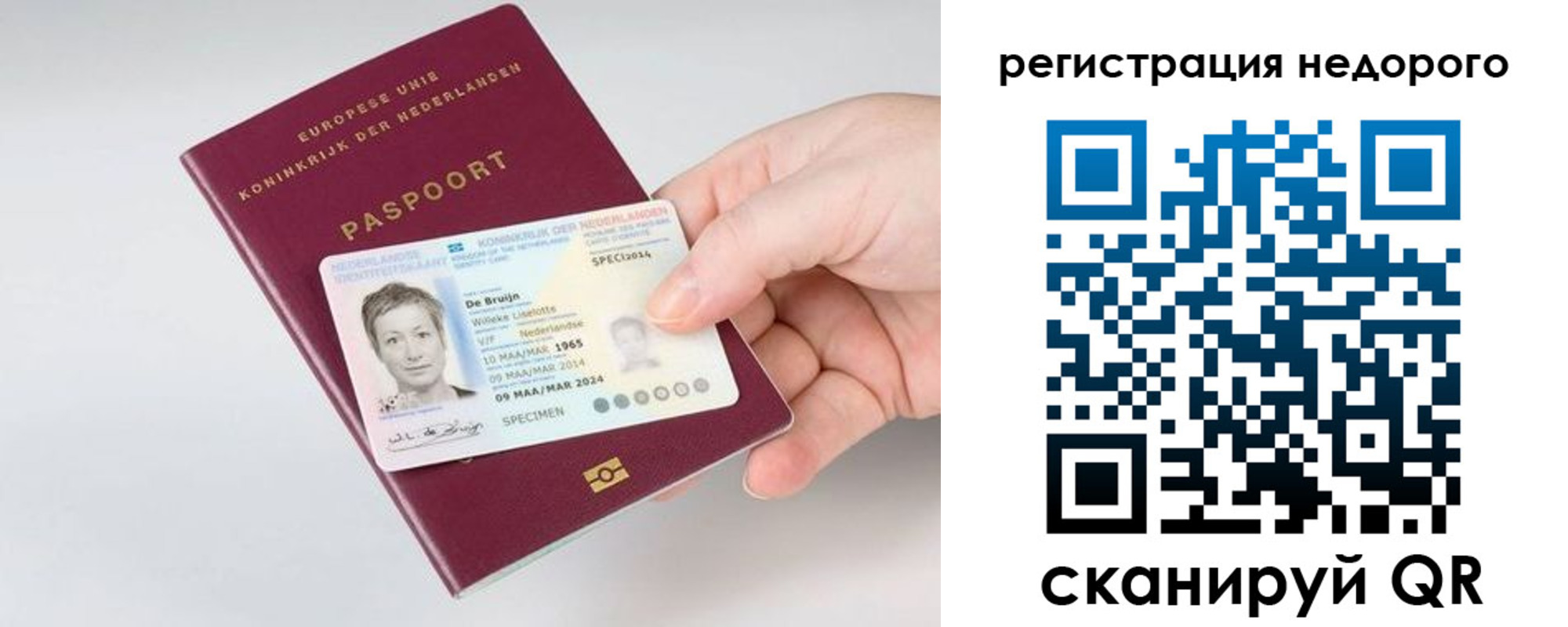 временная регистрация гарантия в Светогорске